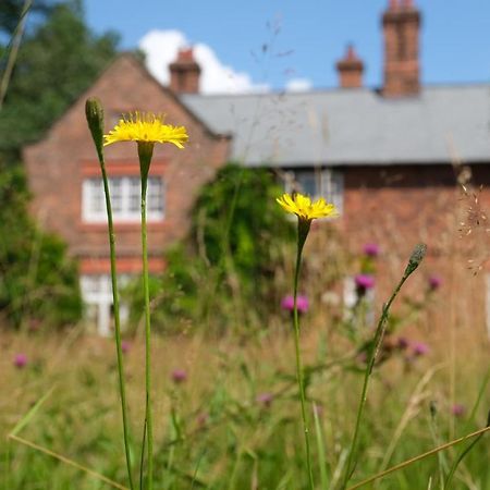 Beech Hill B&B Weaverham Extérieur photo