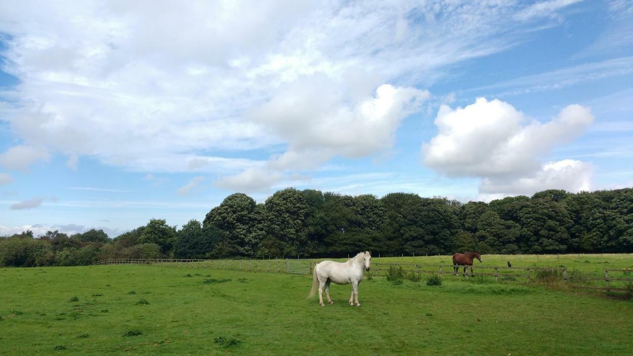 Beech Hill B&B Weaverham Extérieur photo